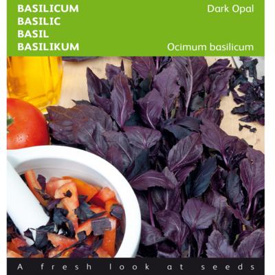 ocimum-basilicum-dark-opal